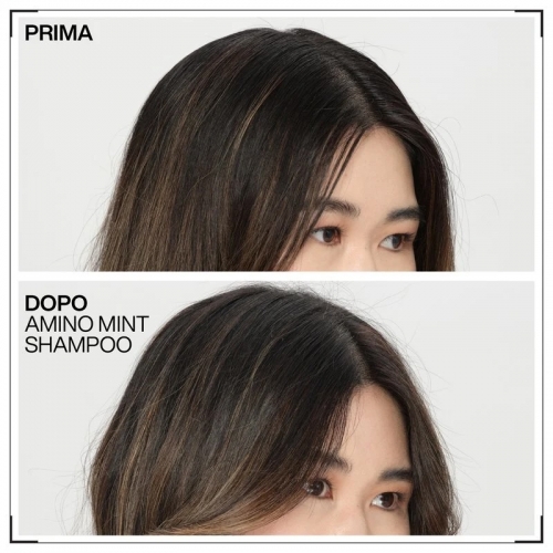 amino mint shampoo